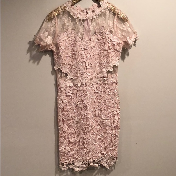 blush lace dress - Picture 1 of 6